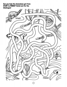 Animals Of The World Activity Book