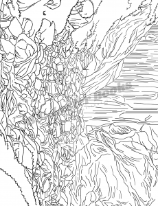 Beautiful Landscapes Coloring Book