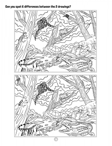 Animals Of The World Activity Book