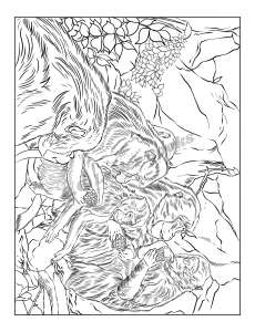 Safari Animals Coloring Book