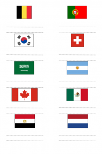 Guess The Flags Quiz